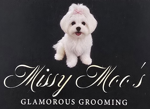 Missy Moo's Glamorous Grooming