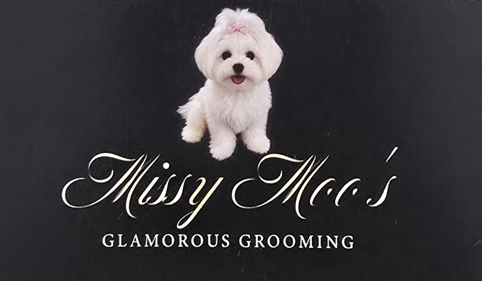 Missy Moo's Glamorous Grooming business card