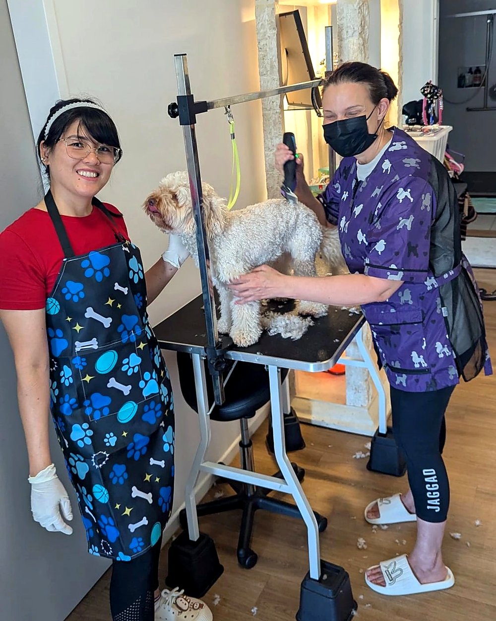 A doodle being groomed in the Missy Moo's salon